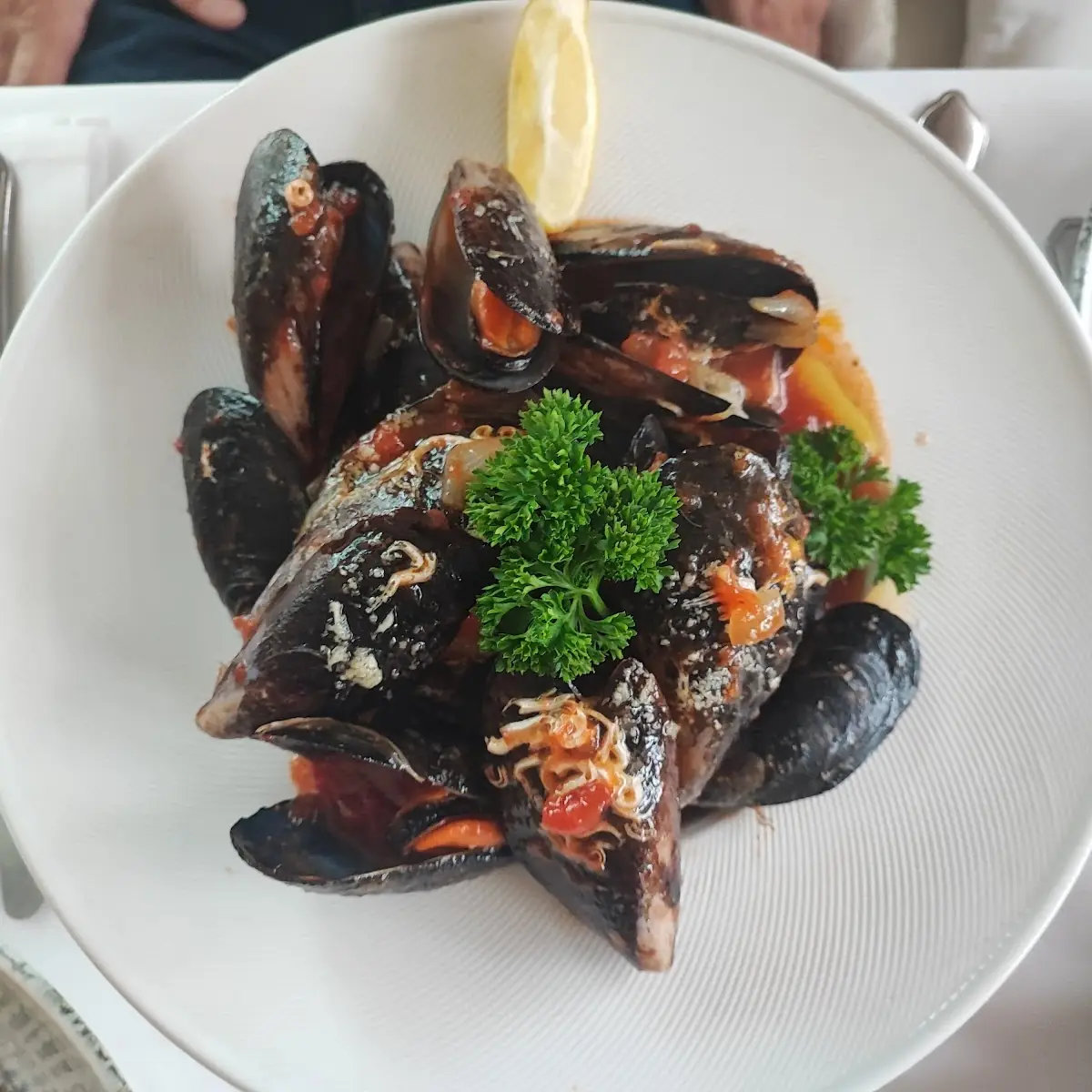 Muscheltopf