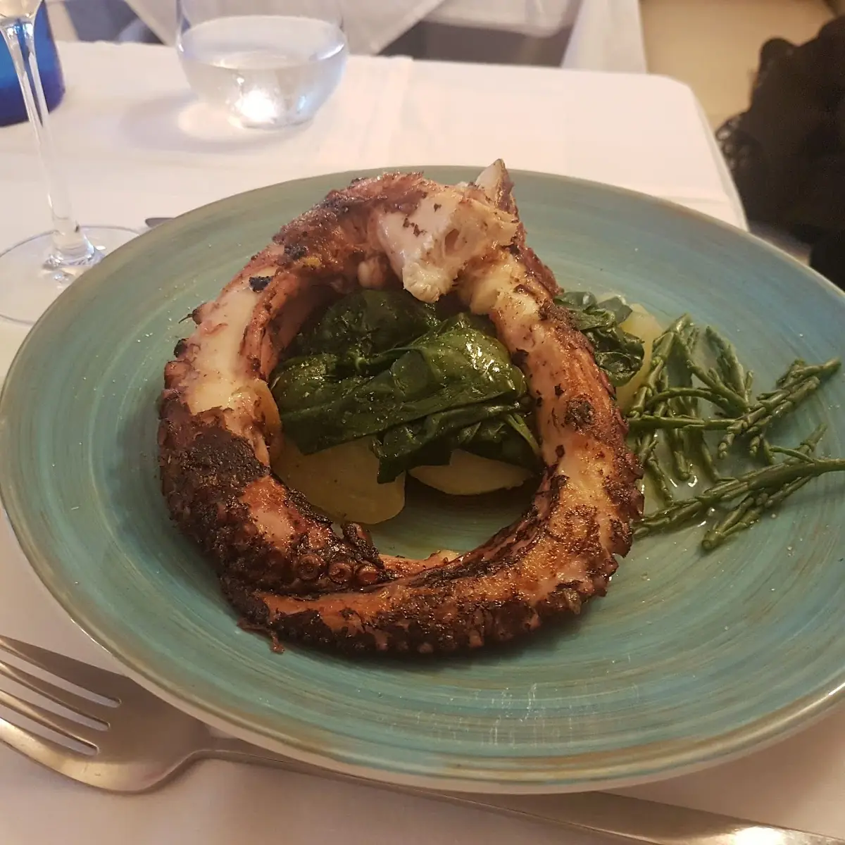 Pulpo