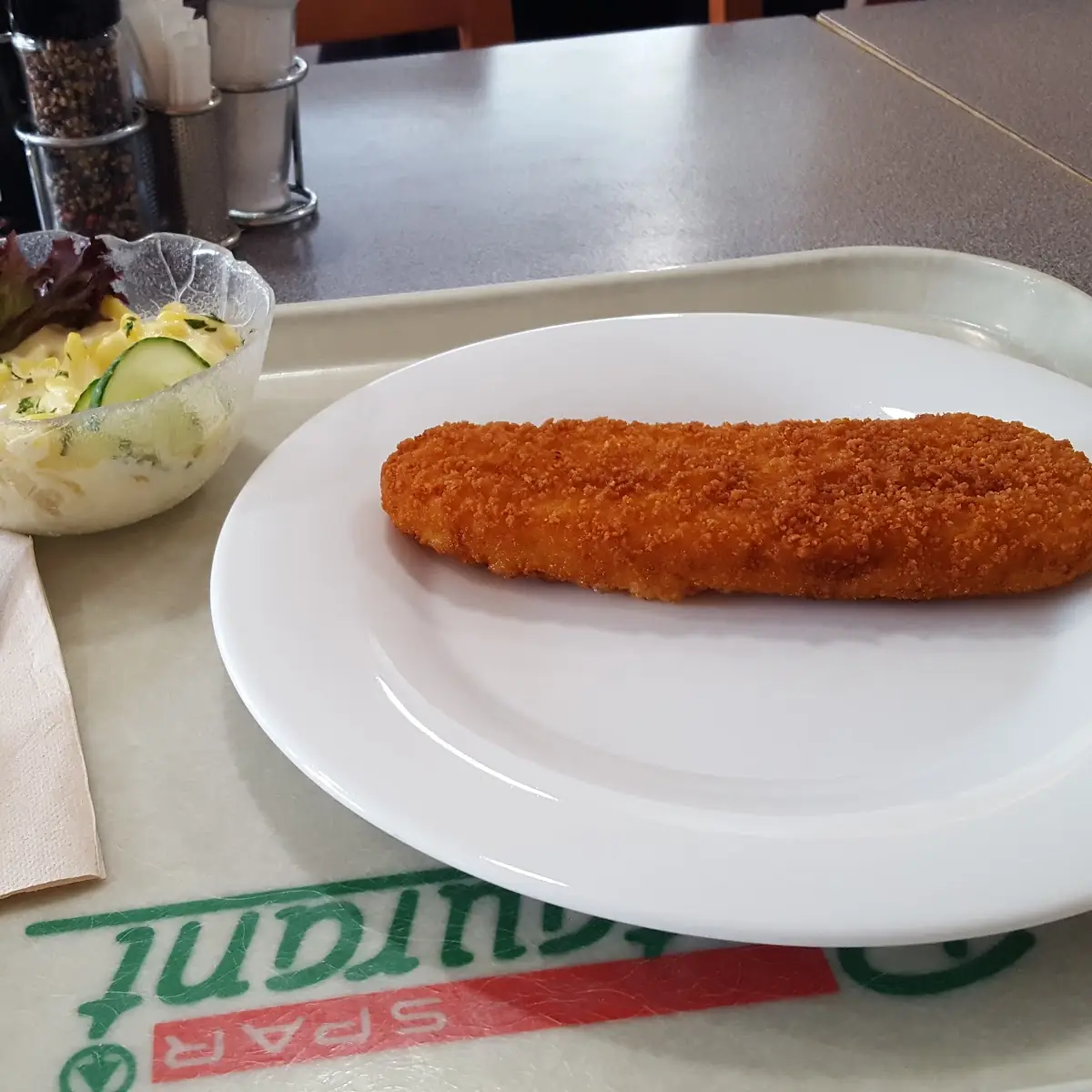 Dorsch