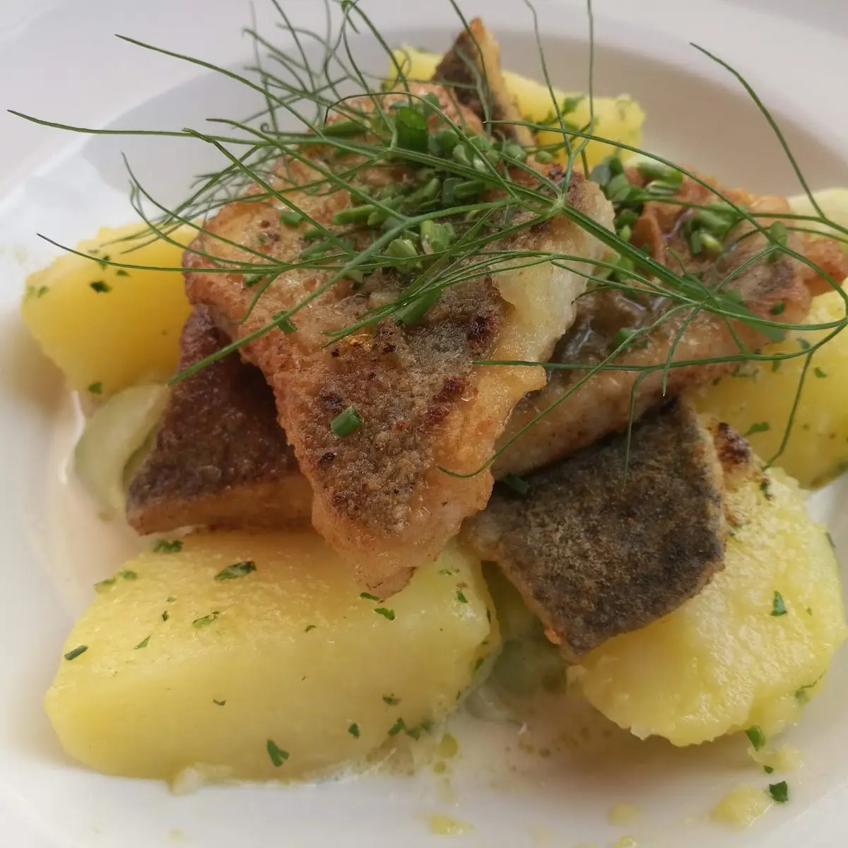 Gebratenes Fischfilet Auf Rahm-gurkensalat