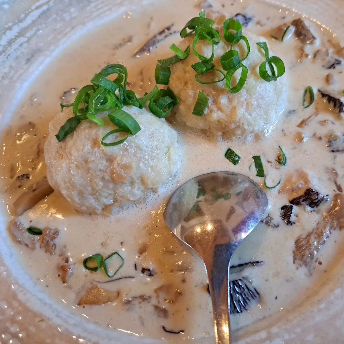 Rahm-eierschwammerl Mit Semmelknödel