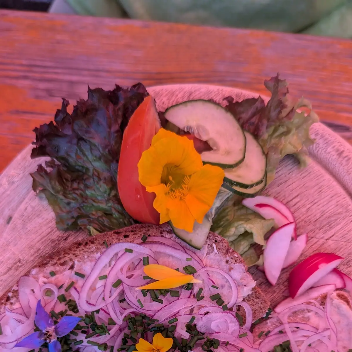 Schmalz Brot Mit Zwiebeln