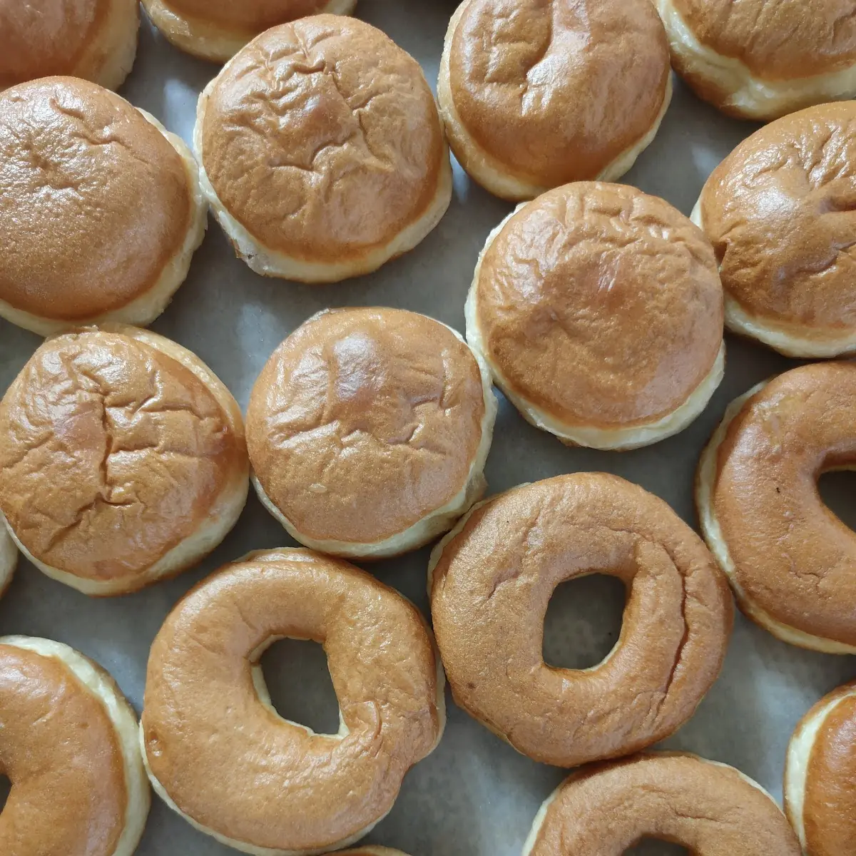 Donut