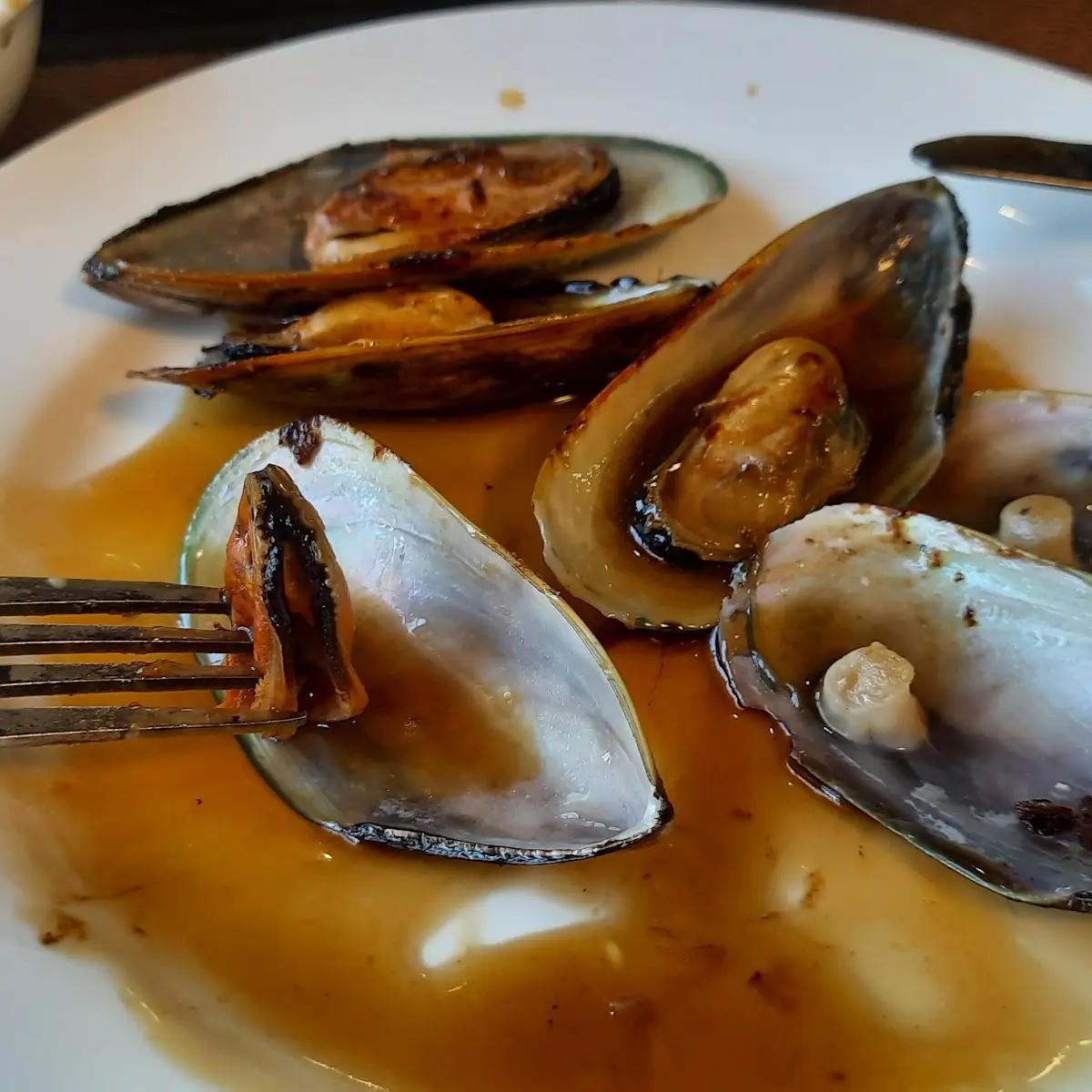 Cozze