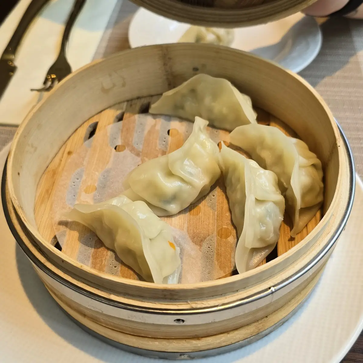 Gedämpfte Gyoza Mit Huhn