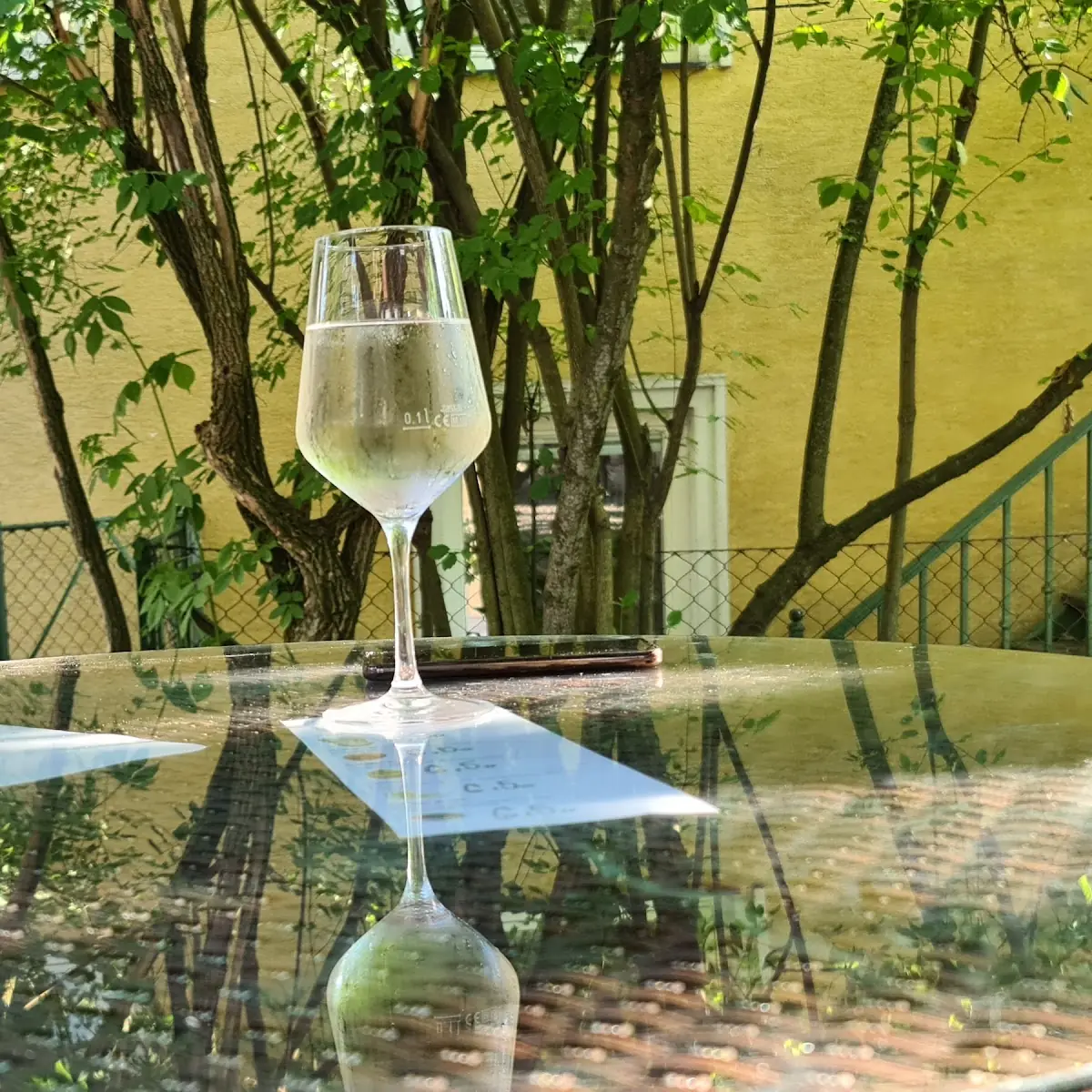 Spezi Und Weißwein Gespritzt