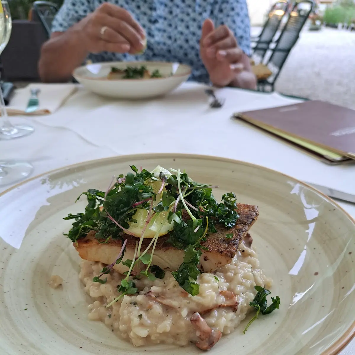 Zander Auf Risotto