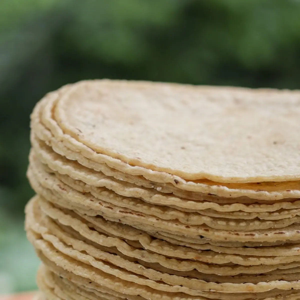Highlight 15