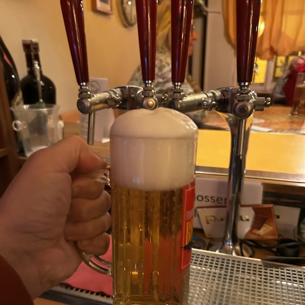 Bier