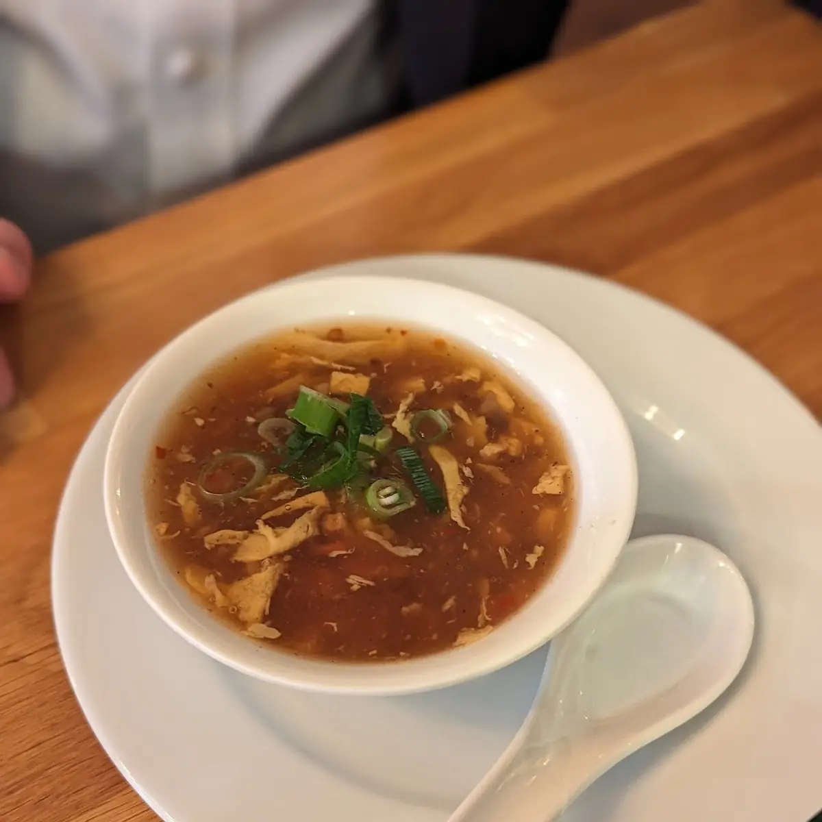Pikant Säuerliche Suppe