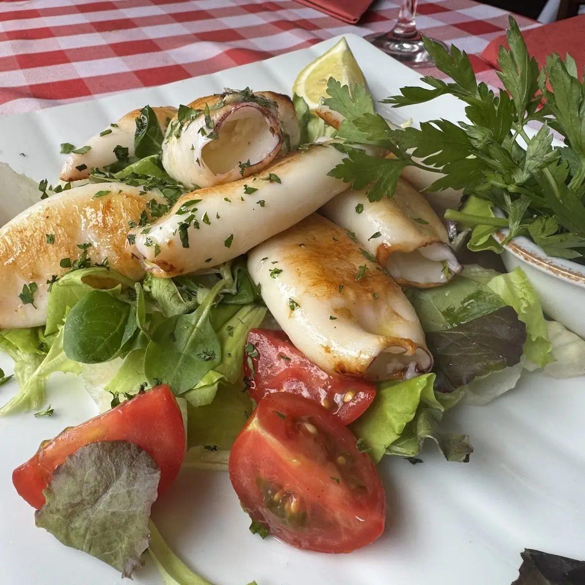 Calamari Alla Griglia Con Insalata