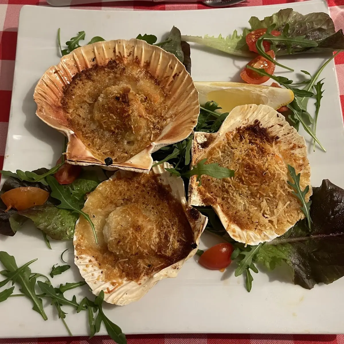 Capesante Gratinate Jakobsmuscheln