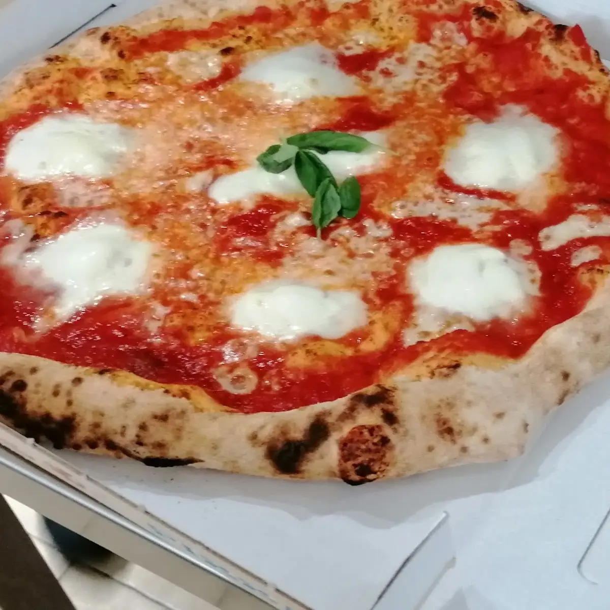 Bufala Pizza