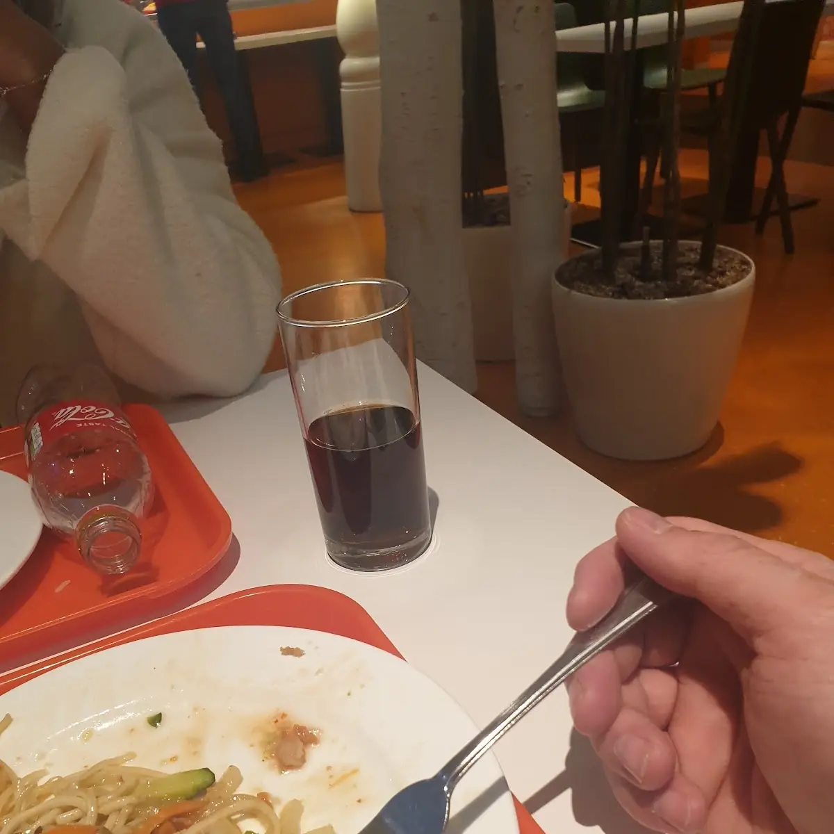 Ente Mit Nudeln Das War Nicht Gut