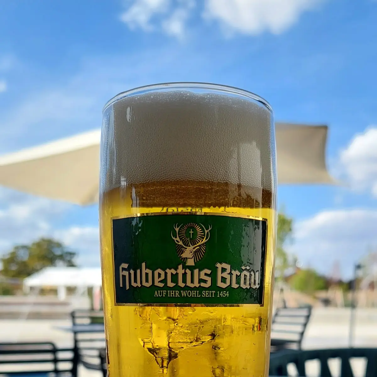 Bier