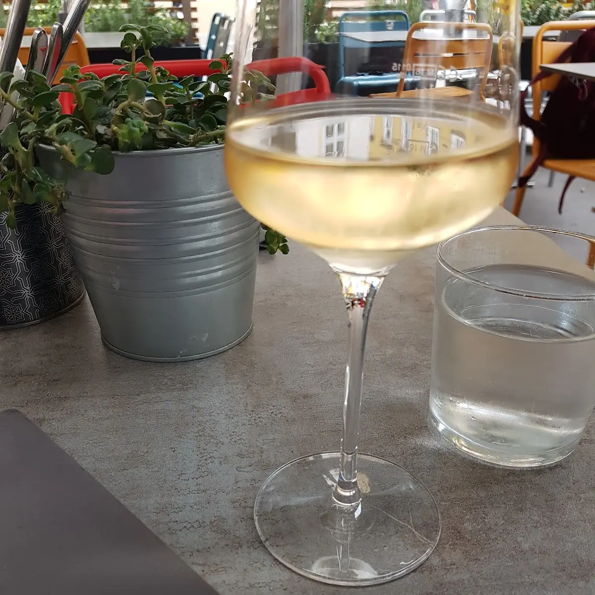 Pinot Grigio