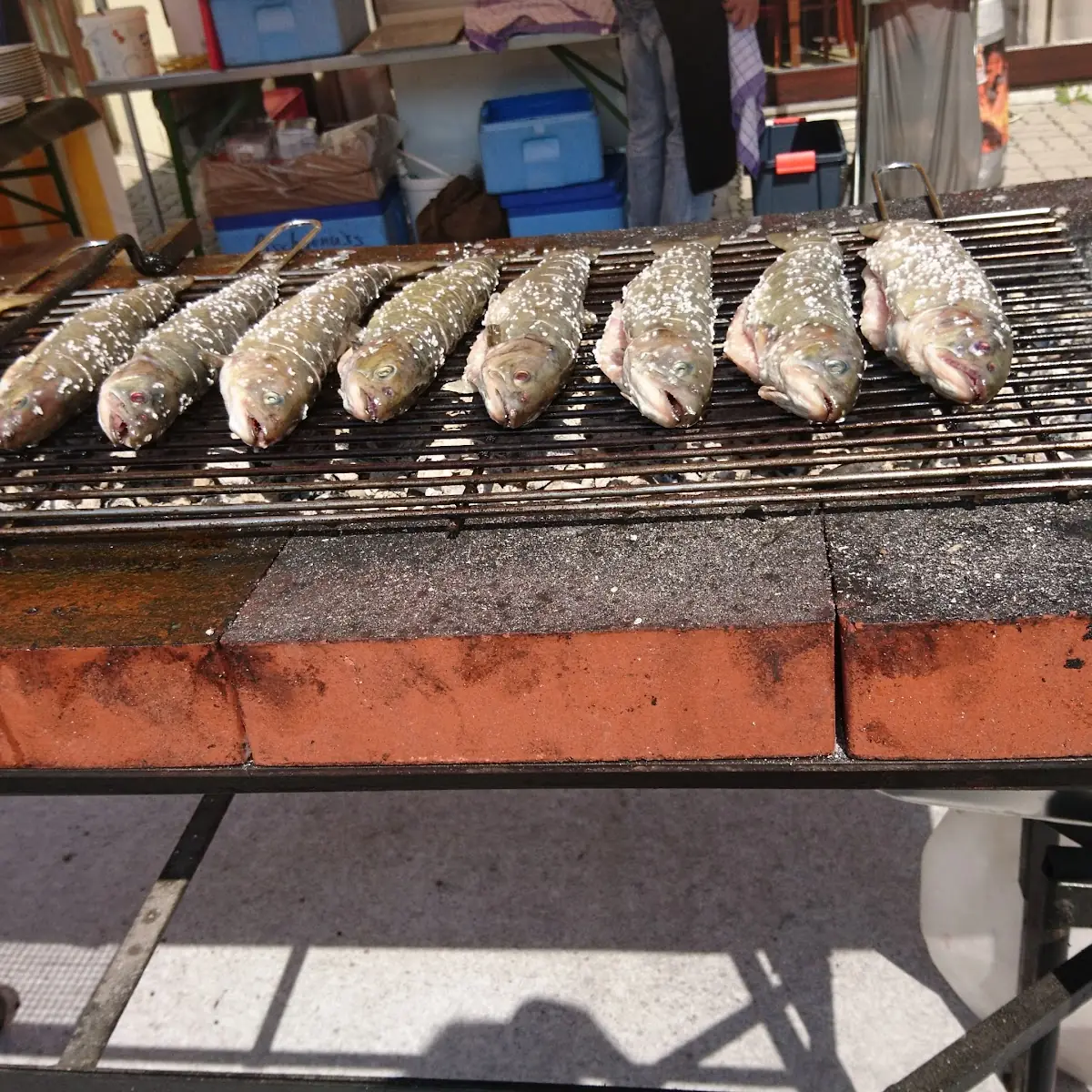 Gegrillter Saibling