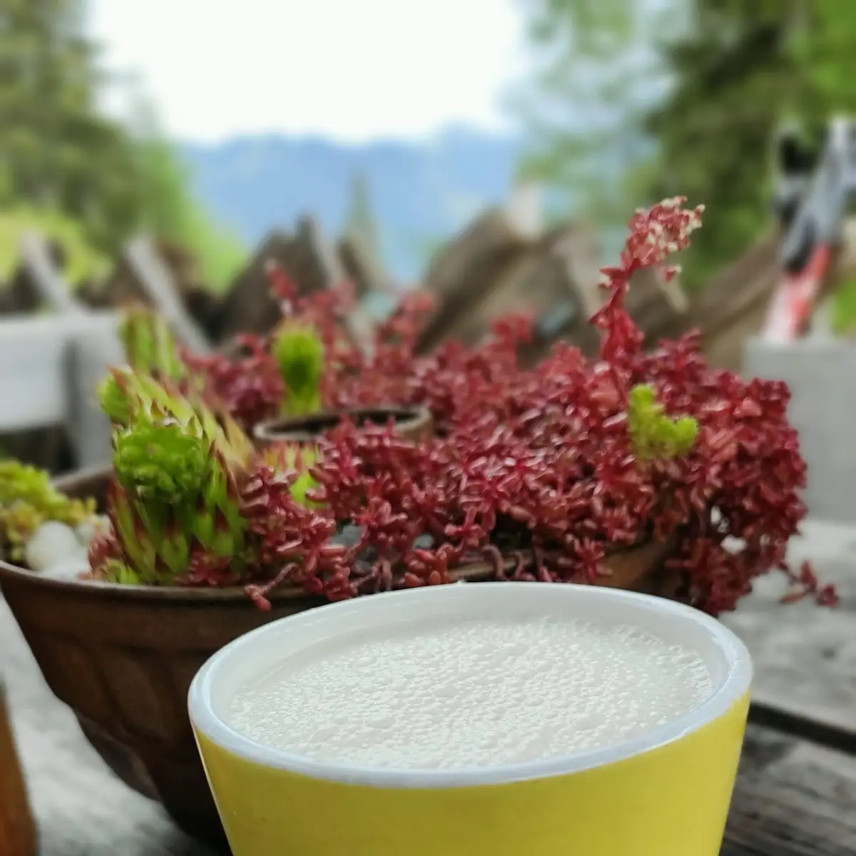 Buttermilch