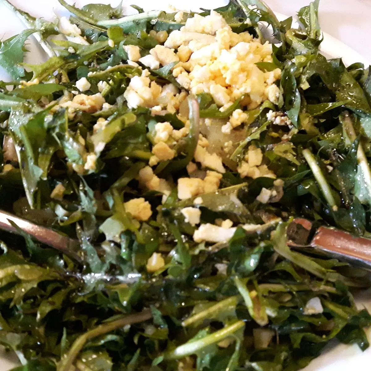 Röhrlsalat Mit Ei