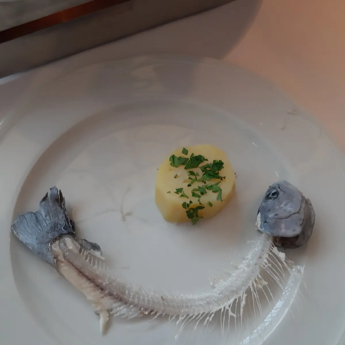 Forelle Blau