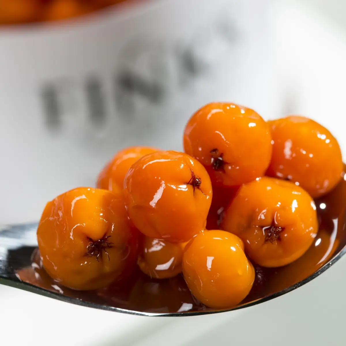 Highlight 17