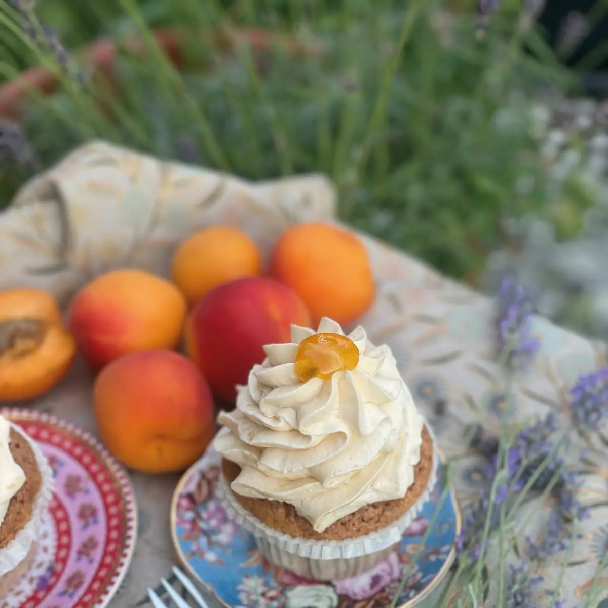 Nougat-Orange-Cupcake Vegan