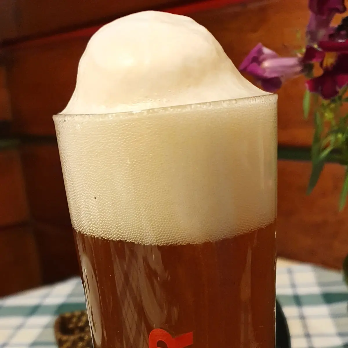 Festbier