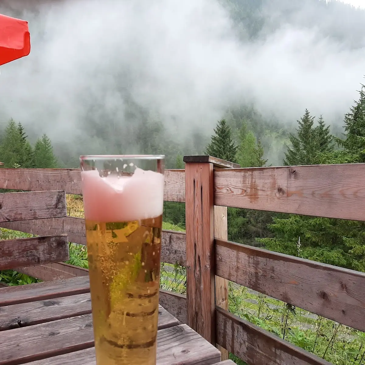 Bier