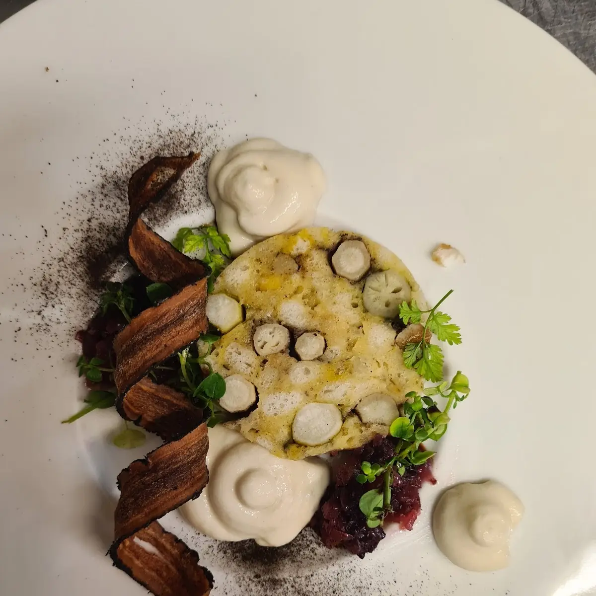 Schwarzwurzel