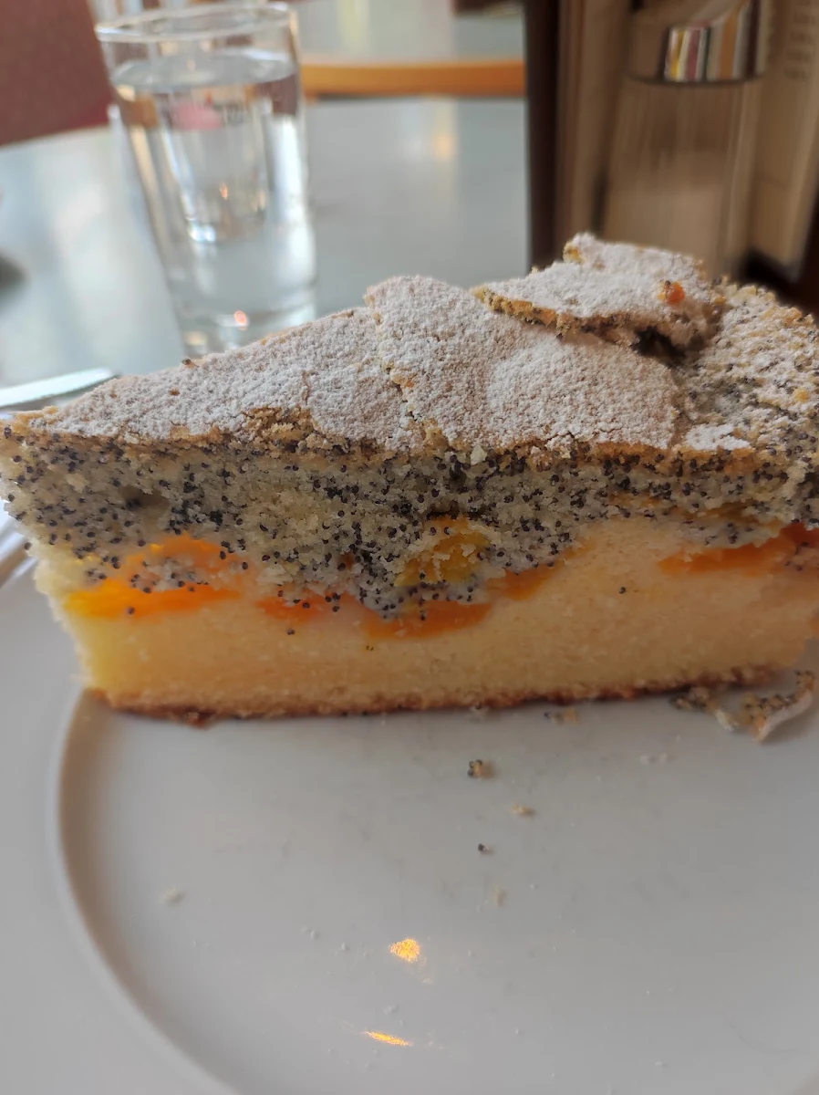 Mandarinen Mohn Torte