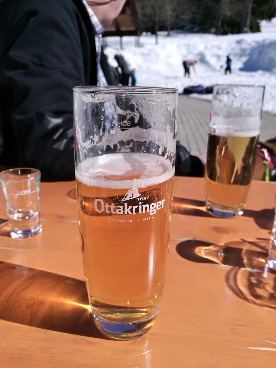 Bier
