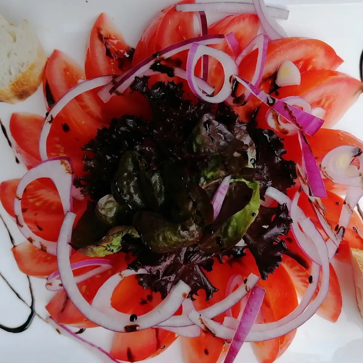 Salat Pomodore