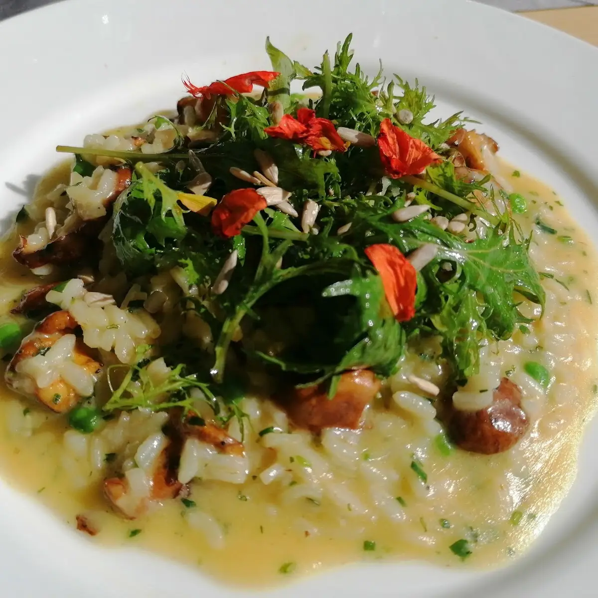 Schwammer Risotto Mit Frischen Kräutern