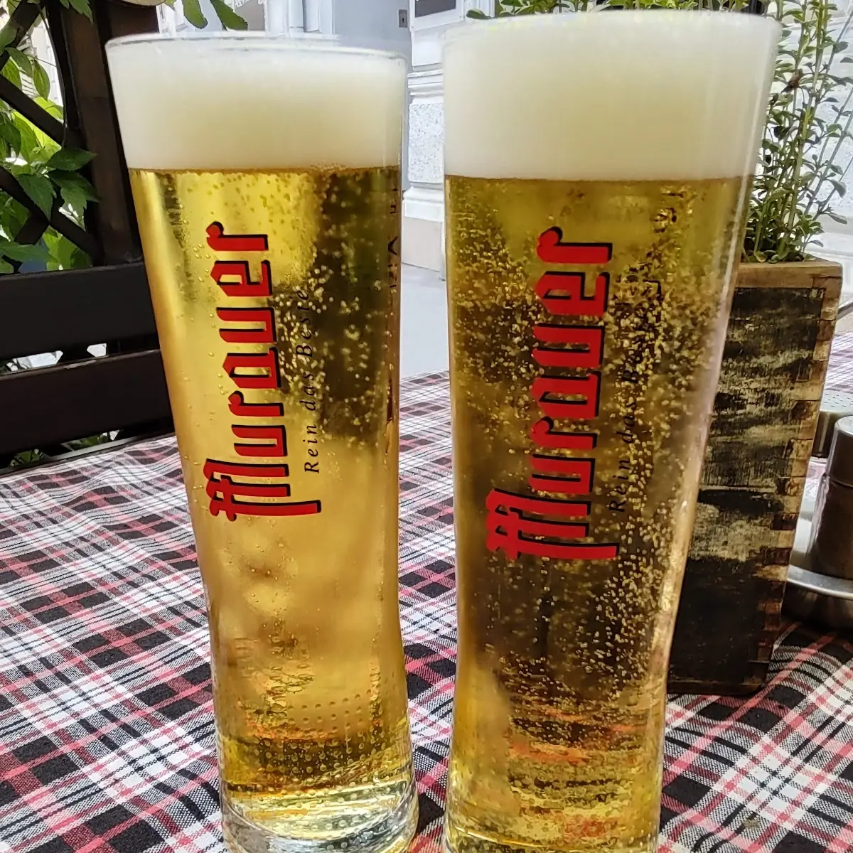 Bier