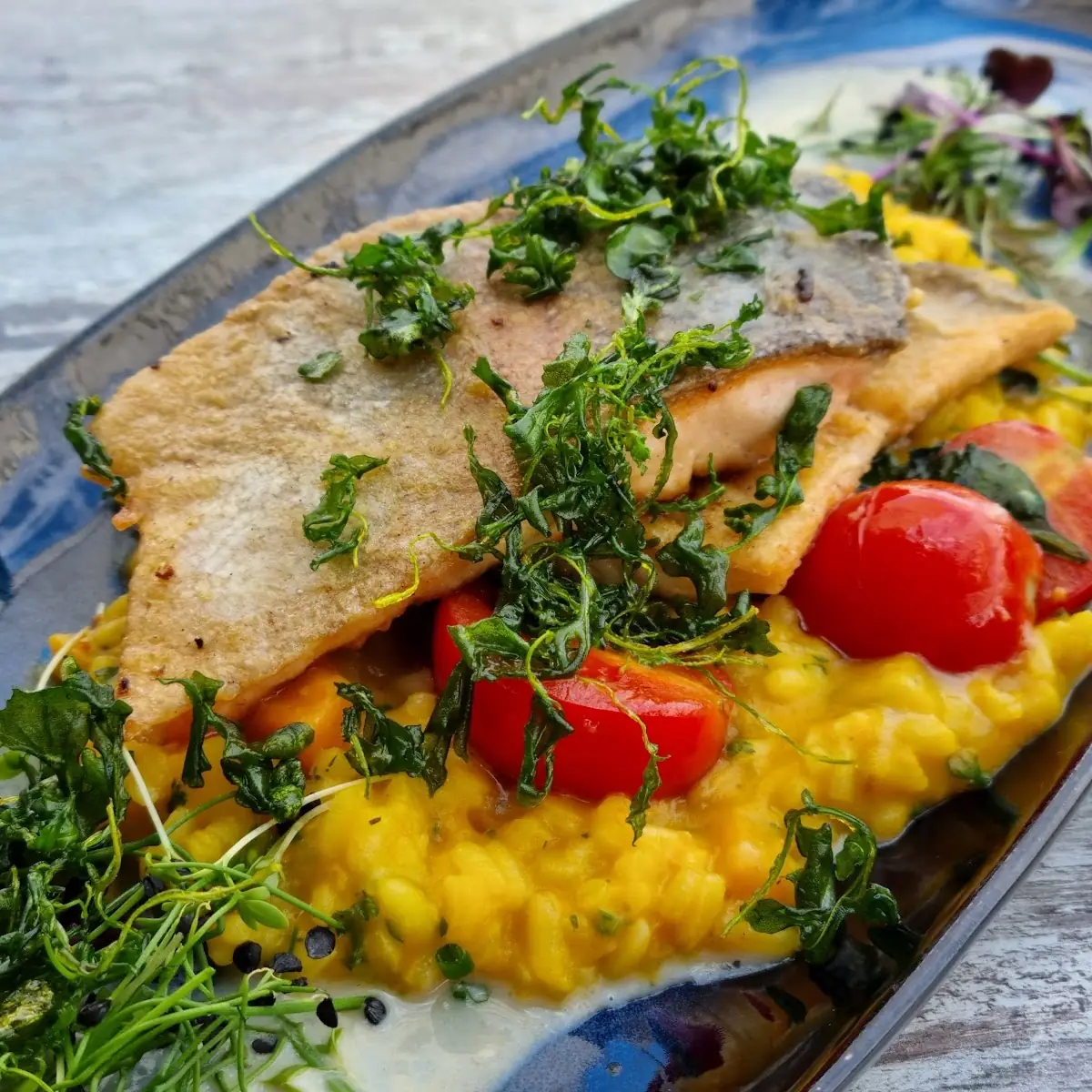 Filet Von Der Lachsforelle