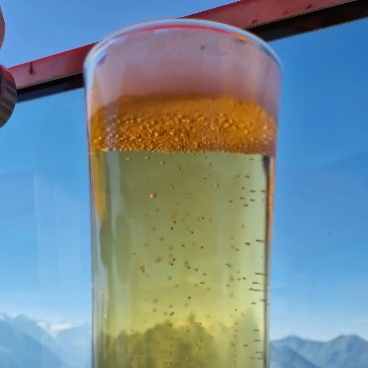 Stiegle Bier