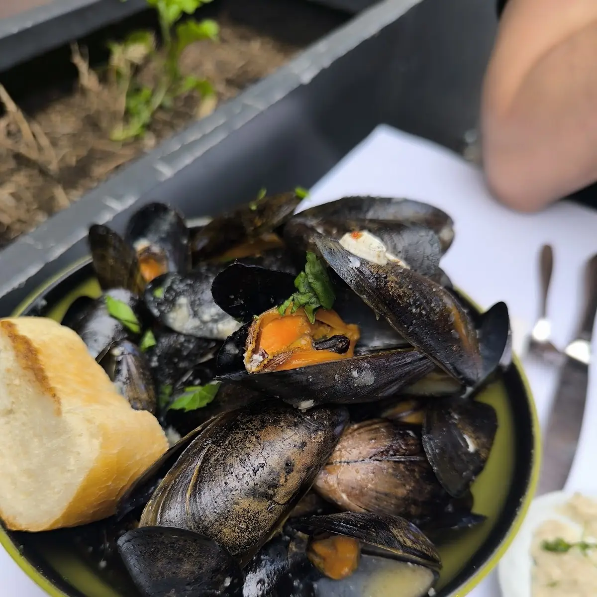 Bouillabaisse Auf Safransud Umarart