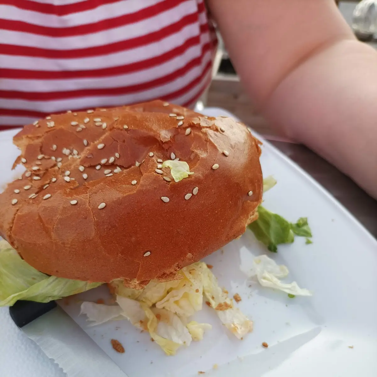 Hamburger