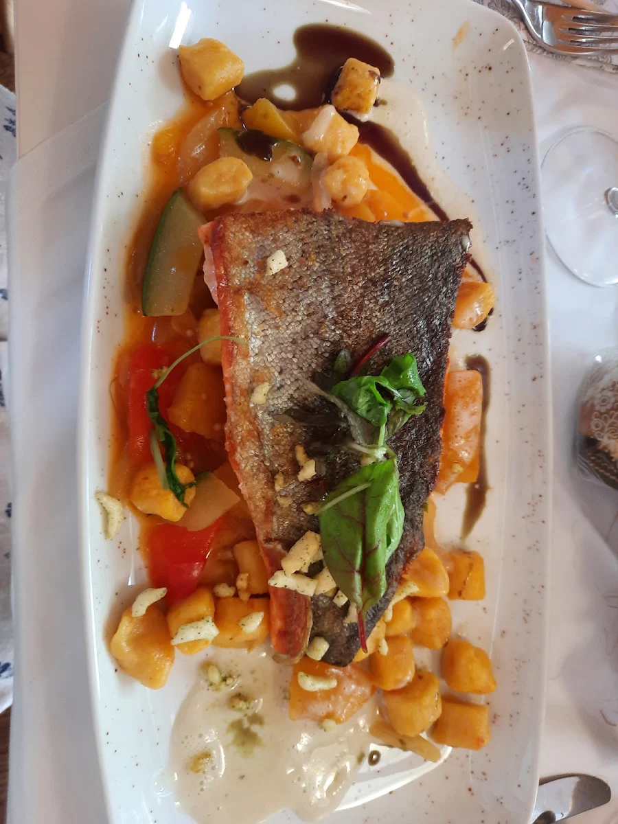 Lachsforelle