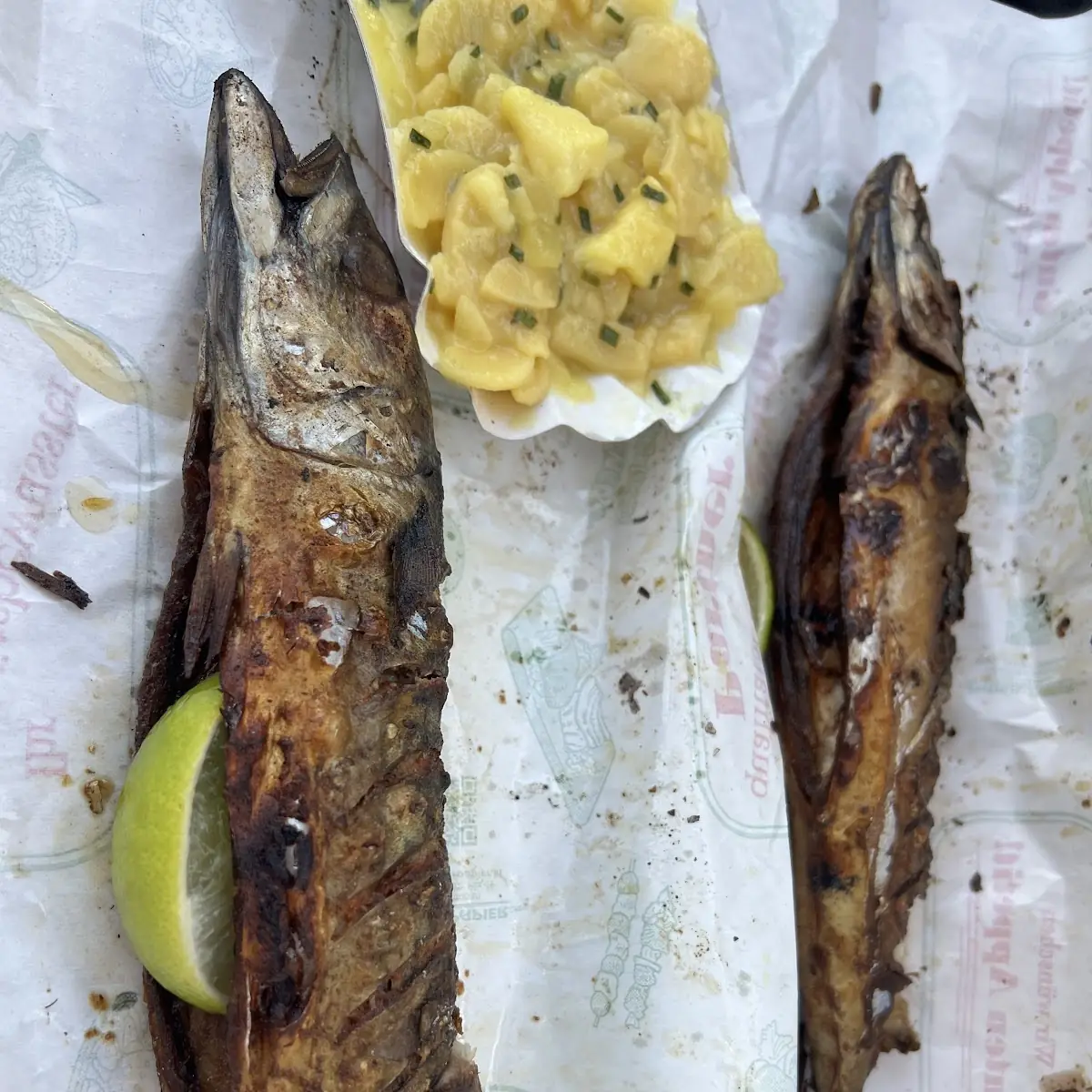 Fish