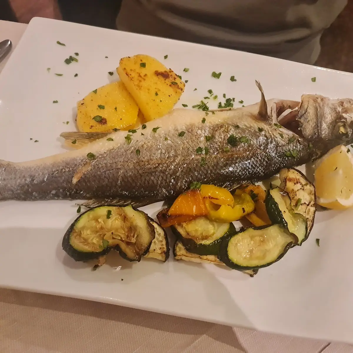 Zubatac