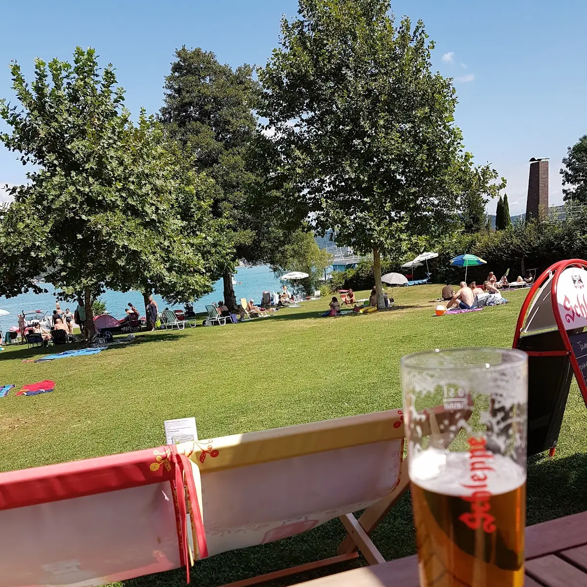 Bier