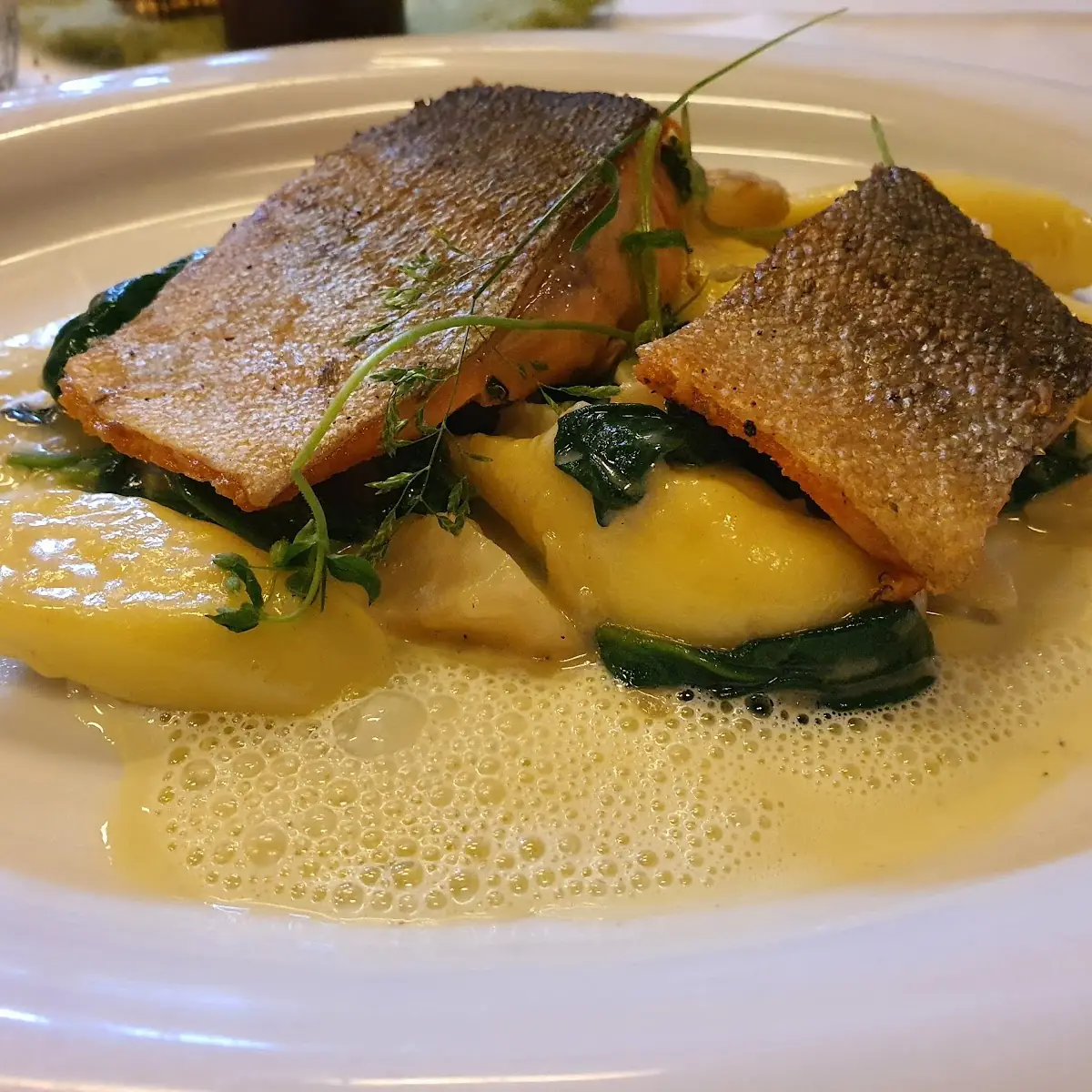 Lachsforelle Mit Gnocchi