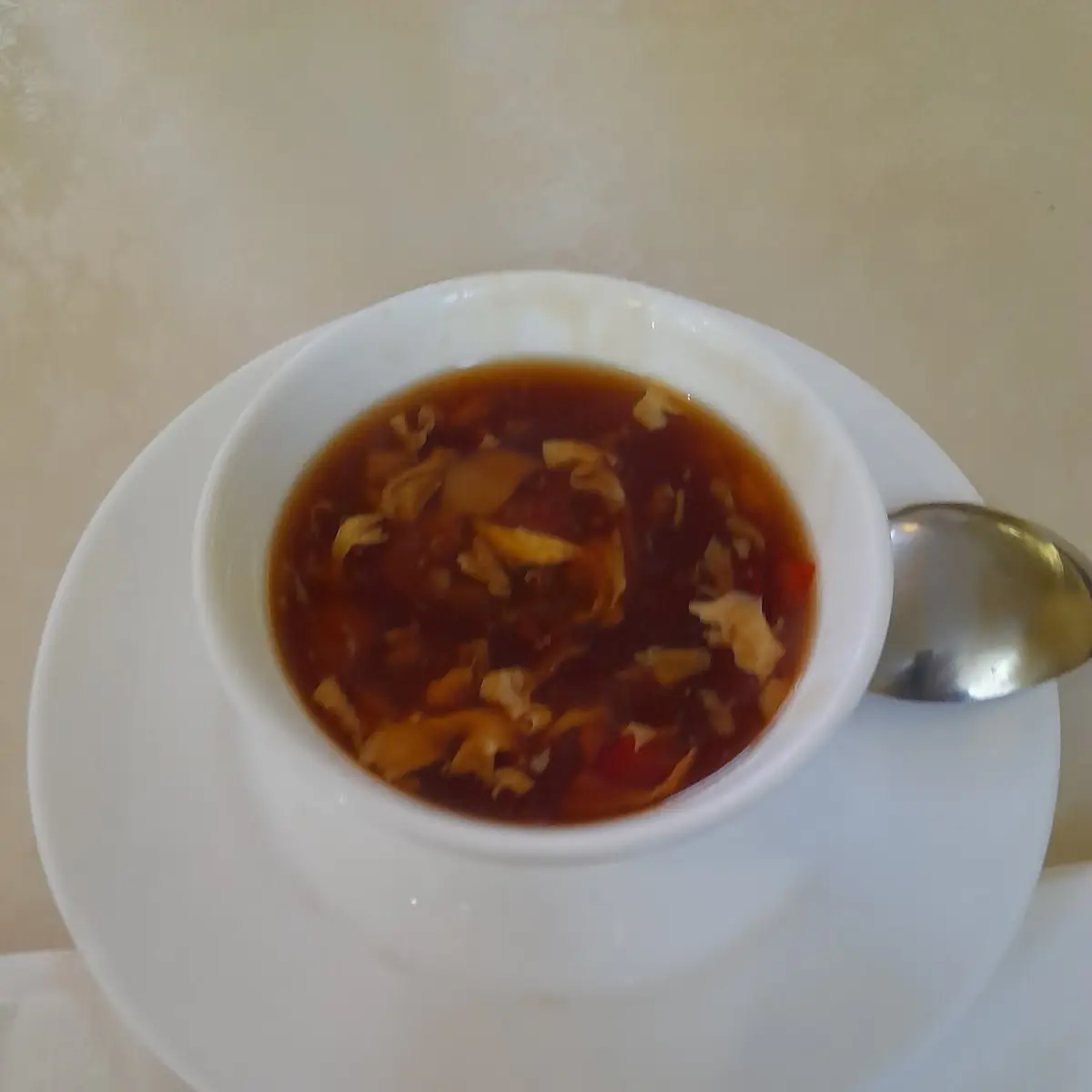 Pikant Säuerliche Suppe