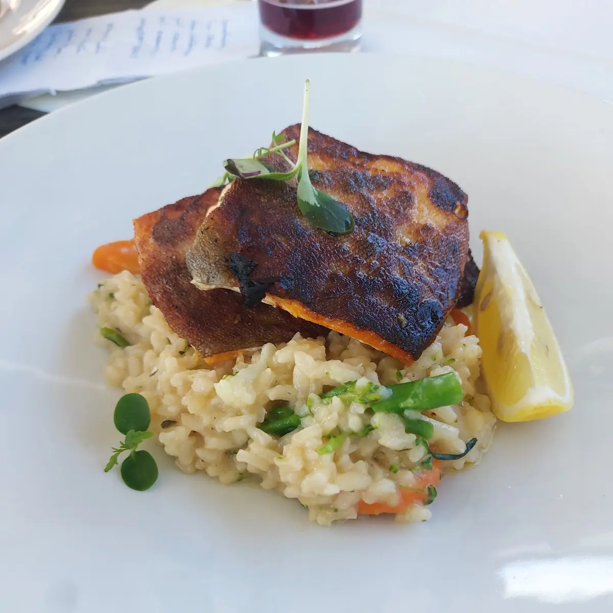 Saibling Auf Risotto