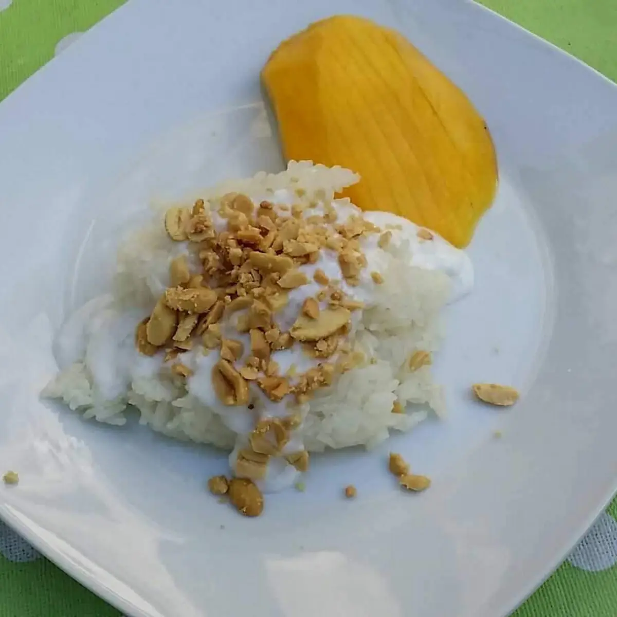 Sweet Sticky Rice with Mango