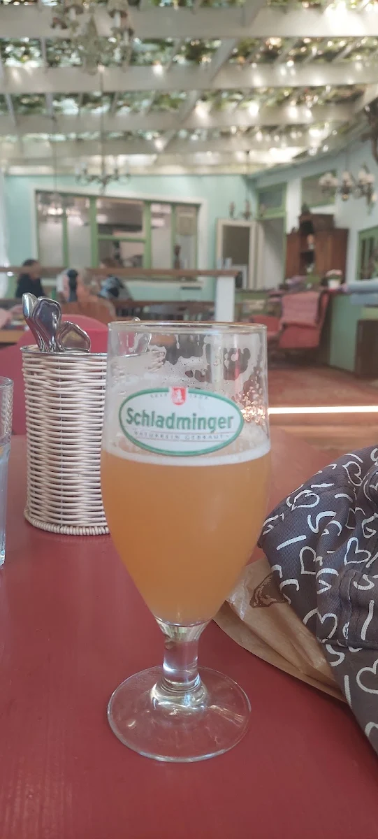 Pivo