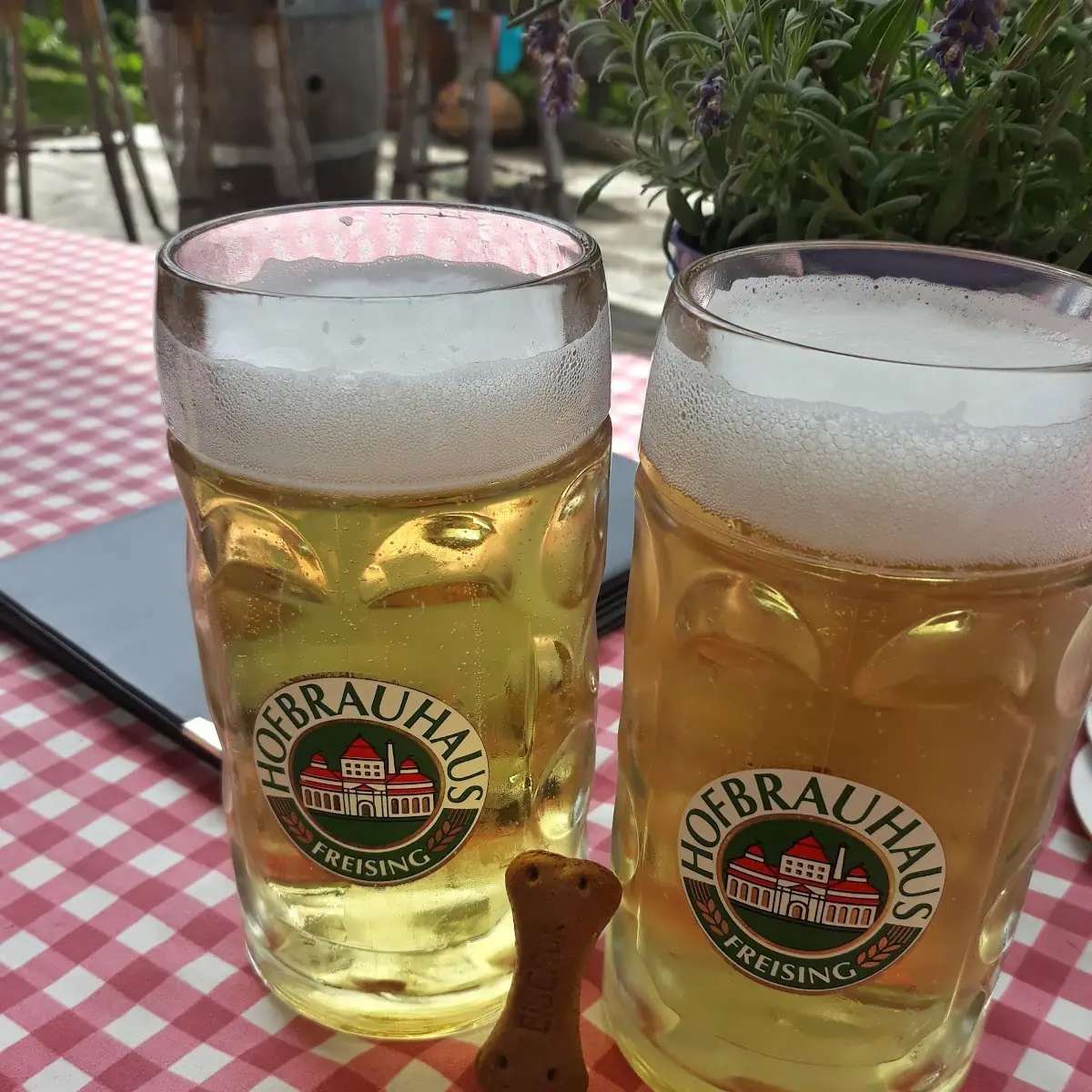 Bier