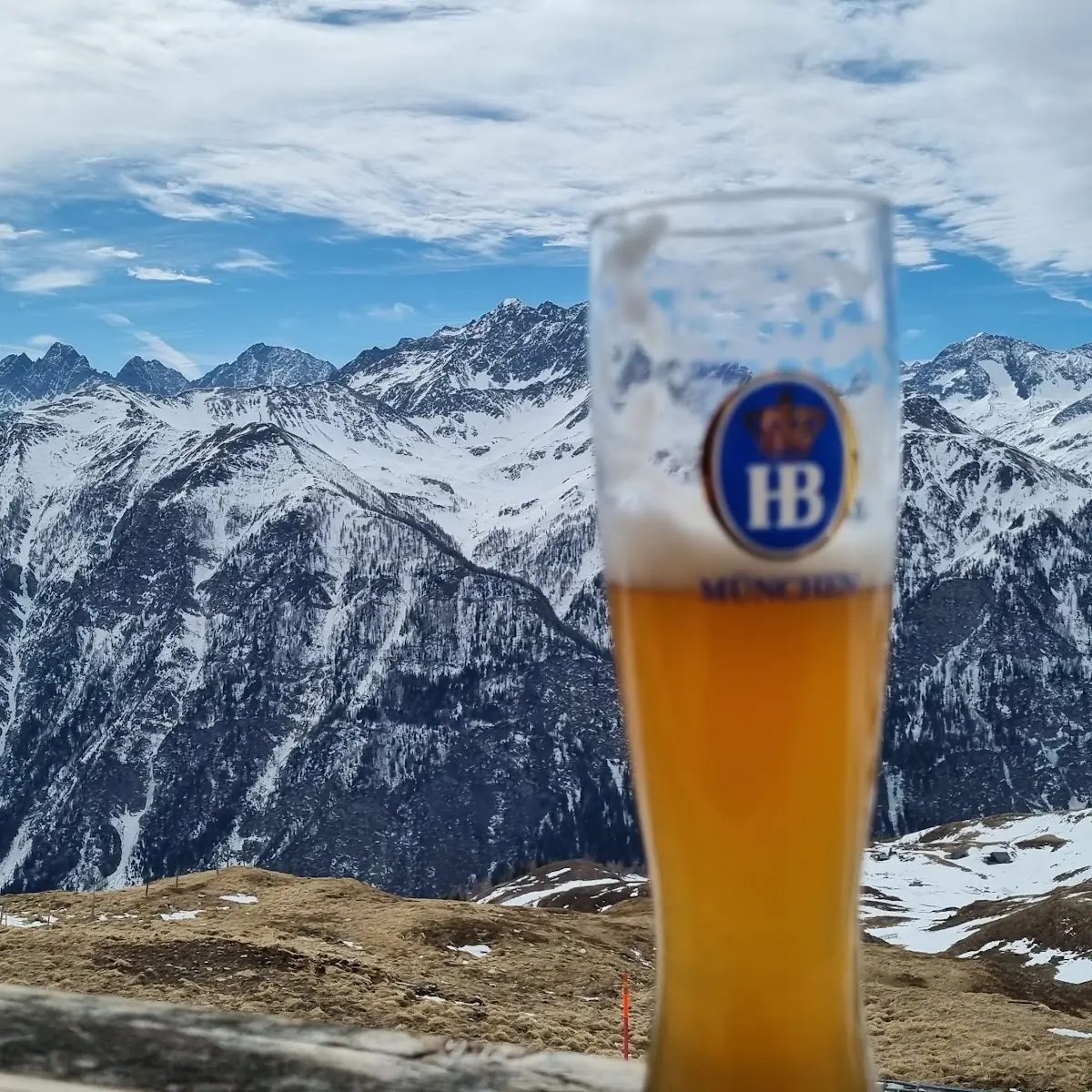 Pivo