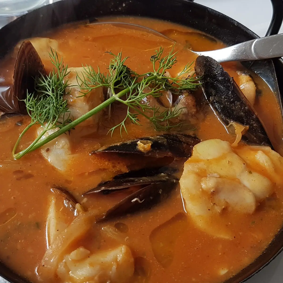 Tonis Favorit Fischsuppe